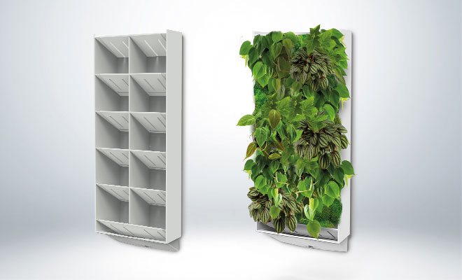Pflanze PlantWallBox BLEU Design Home Box